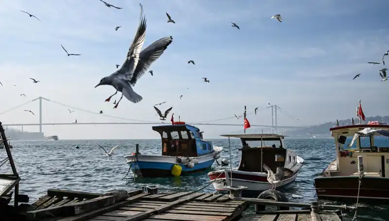 İstanbul'da Bahar Havası: Tarih Belli Oldu, Hava Durumu Sevindiriyor!