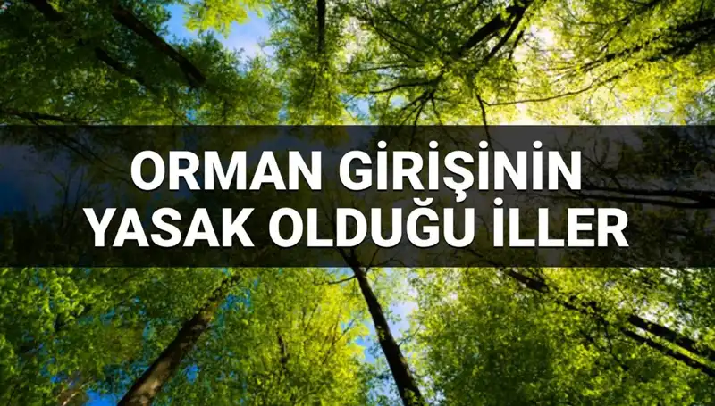 Hangi İllerde Ormana Girmek Yasak? 2025 Yılı İçin Alınan Kararlar Açıklandı