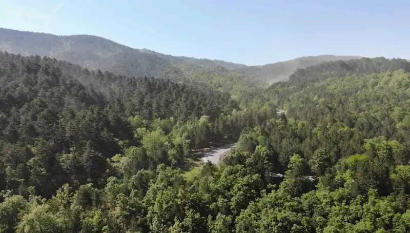 2025 Yılında Ormana Girişi Yasaklanan İller: Hangi Bölgelere Dikkat Edilmeli?