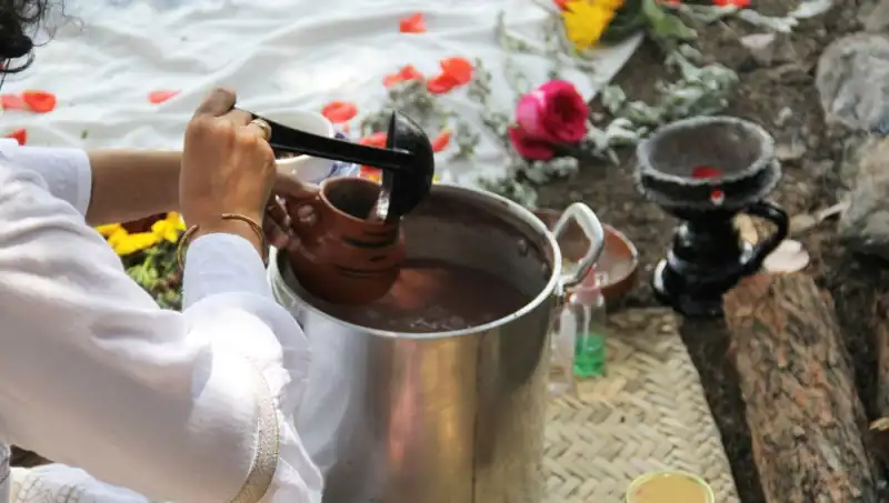 Ayahuasca: Anavatanı Amazon Ormanlarından Gelen İlginç Bir Şifalı İçki