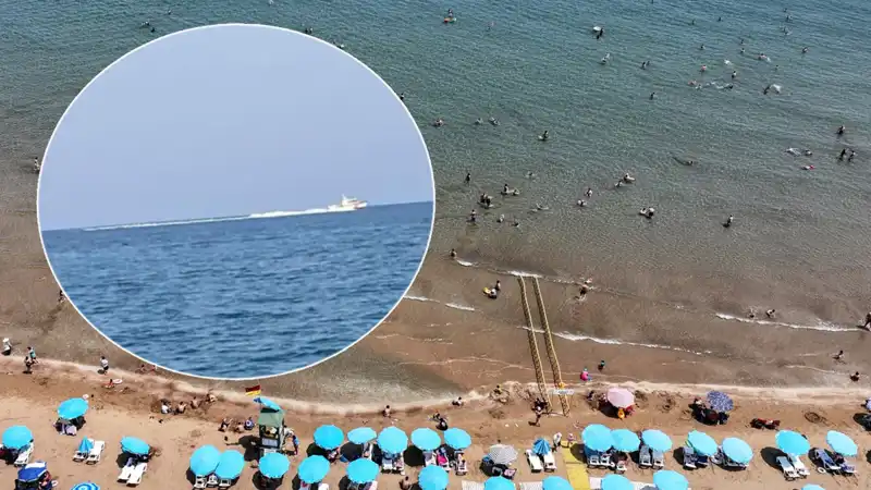 Plajda Köpek Balığı Alarmı: Günlerce Süren Korku Sonrası Gerçekler Neler?