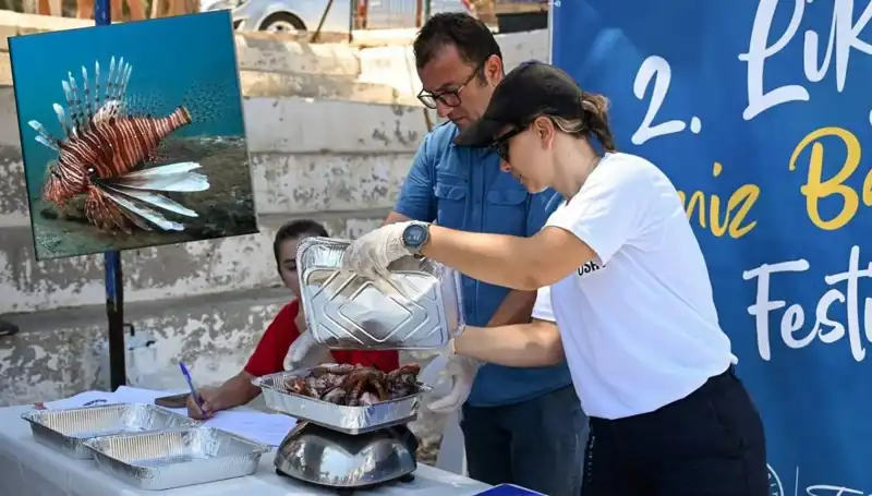 Antalya'da İstilacı Aslan Balığıyla Mücadele: Avlama Yarışması Düzenleniyor