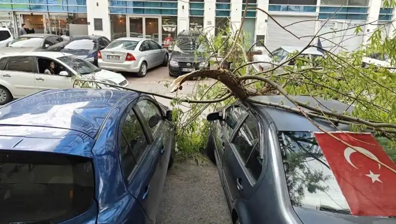 Kayseri'de Fırtına, Dalları Kırdı: Şehirde Yaşanan Felaket ve Sonrası