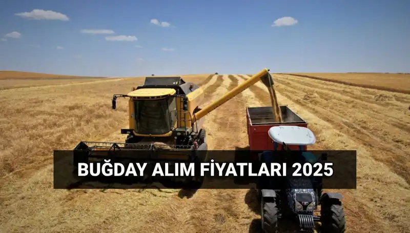 Hububat Alım Ücretleri Ne Zaman Yatacak? 2025 Fiyatları Açıklandı!