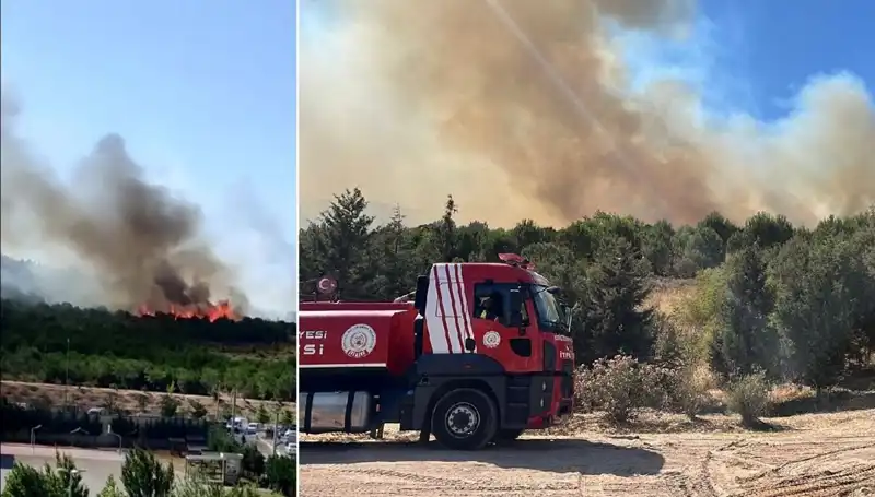 Gebze'deki Orman Yangını: Doğanın Kalbi Küller İçinde Mi Kaldı?