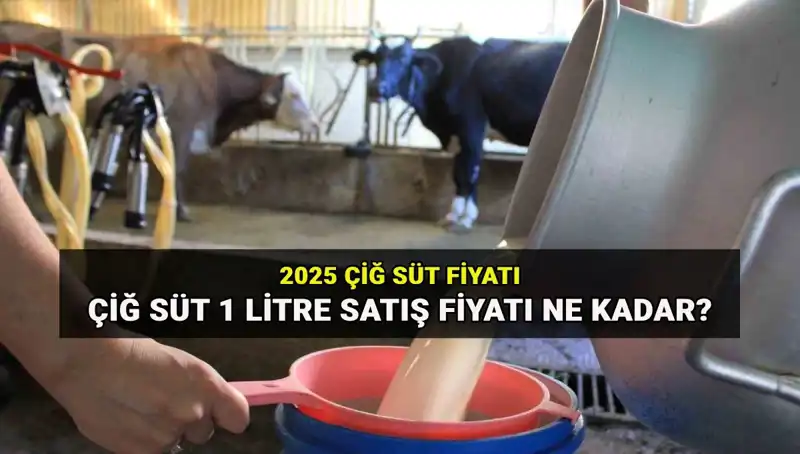 2025 Çiğ Süt Fiyatları: Ulusal Süt Konseyi’nden Kritik Açıklama