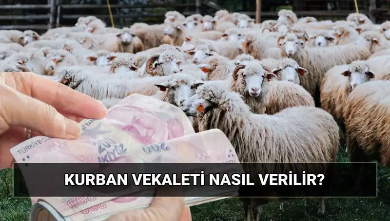 Vekaletle Kurban Kesimi: Diyanet'ten 2025 İçin Önemli Bilgiler