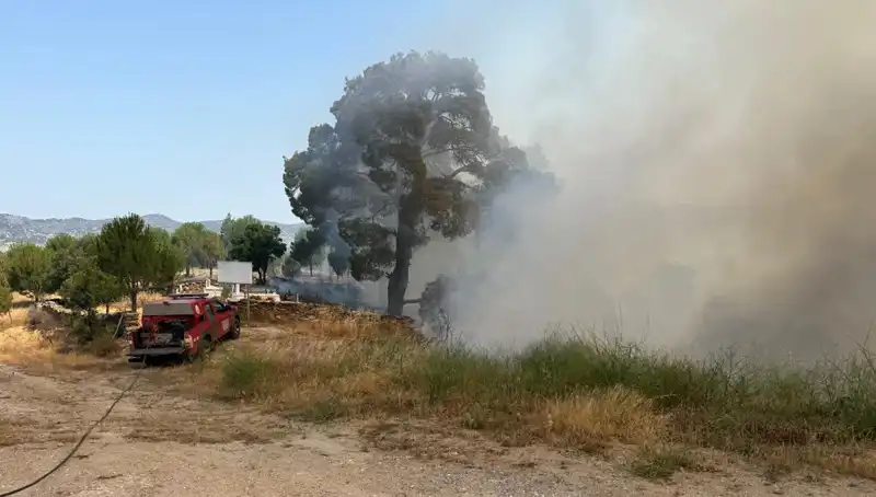 Muğla'daki Orman Yangını: Doğa Harikaları Tehlikede, Son Durum Nedir?