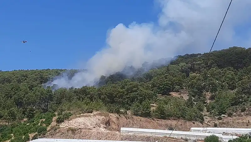 Kumluca'da Çıkan Orman Yangınında Son Durum ve Etkiler
