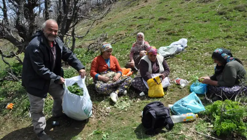 Dağlarda Ulaşılmaz Yerlere Yol Alıyorlar: 250 Liralık Gelir İçin Beş Saat Yürüyüş