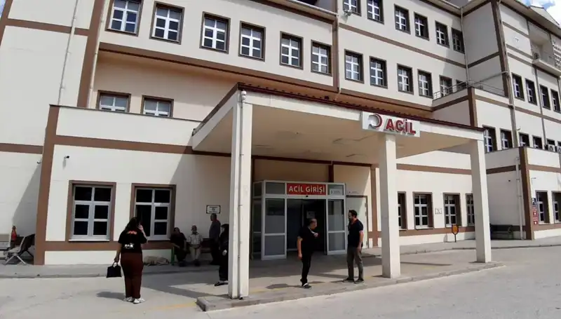 Bolu Dağlarında Ayı Avı Kararı: Ekosistem Üzerindeki Etkileri Neler Olacak?