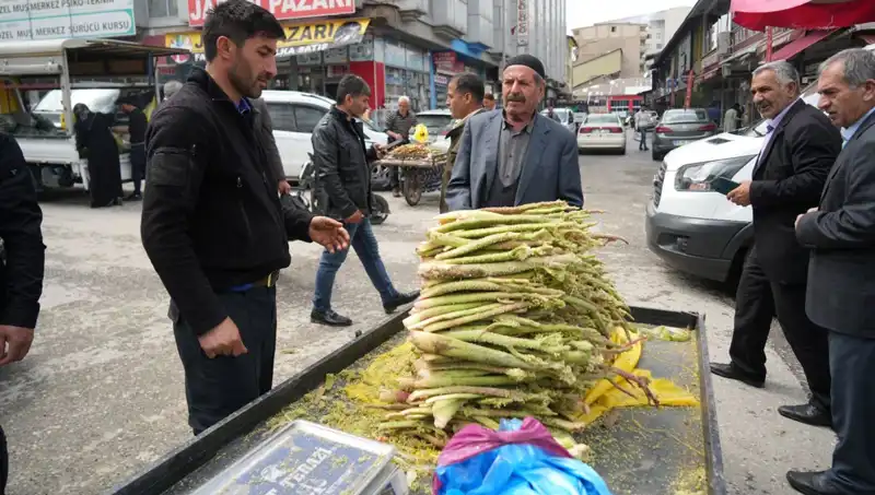 Dağlık Alandan Toplanan Şeker: Mide ve Kanser Hastalıklarına İyi Geldiği İddia Ediliyor