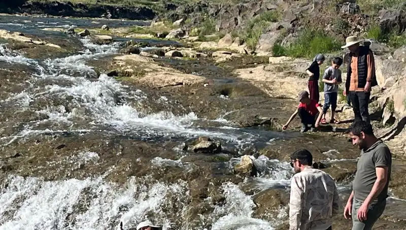 İnci Kefalinin Büyüleyici Göçü: Turistlerin Yeni Gözdesi Oldu