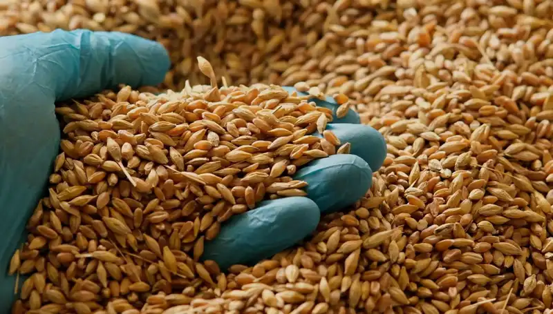 Kalp Hastalığı Riskini Azaltan Beslenme Alışkanlıkları: Uzmanların Önerileri