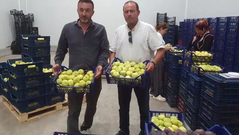 Mersinli Çiftçilerin Yüzü, 20 TL'den İhraç Edilen Ürünlerle Güldü
