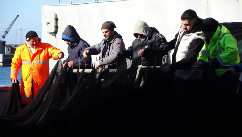 Denizlerde Hamsi Alarmı: Tekneler Erken Paydos Etti!