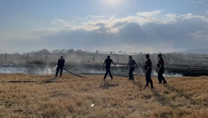 Merzifon'da Tarım Arazisi Yangınla Küle Döndü: Olayın Sebepleri ve Zararları