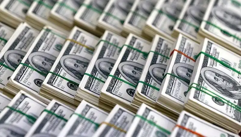 Doların Hızla Yükselişi: Ekonomistler Ne Diyor?