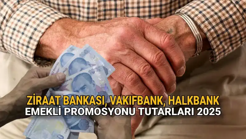 2025’te Emeklilere Kamu Bankalarından Yüzde Yüz Kazanım: Promosyonun Detayları