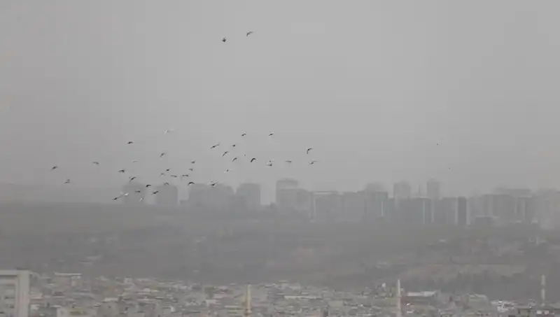 Şanlıurfa’yı Vuran Gizemli Toz Bulutu: Neden Böyle Oldu?