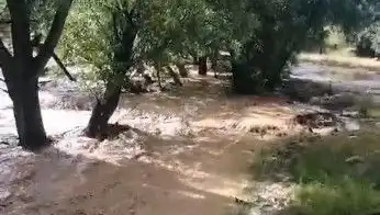 Mersin'de Sağanak Yağış, Şehri Sele Boğdu: Son Durum Nedir?