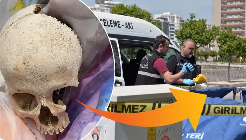 Sitenin Çöpünden Çıkan Kafatasının Gizemi ve Uzman Doktorun Gözaltına Alınması