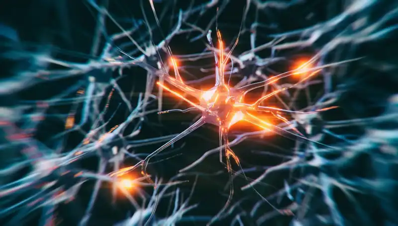 Alzheimer Vakalarındaki Artış: Sebepler, Etkenler ve Gelecek Beklentileri