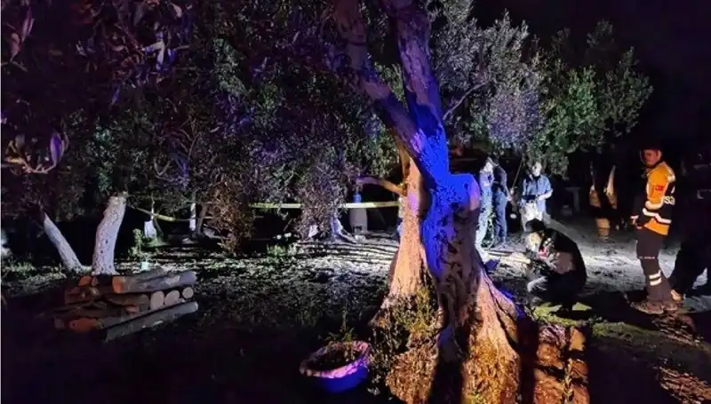 Çiftlikte Baltalı Vahşet: Bir Kişi Tutuklandı, Gözler Olayda