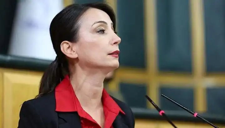 Öcalan'dan Silah Bırakma Çağrısı: DEM Parti'den Yeni Siyasi Hamleler