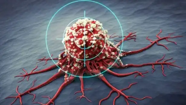 Prostat Kanseriyle Mücadelede Etkili 6 Süper Besin: Bilim İnsanları Açıkladı!