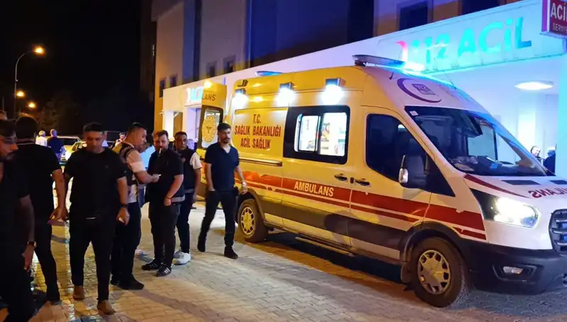 Kardeşi Kavga Anında Hayatını Kaybetti: Olayın Şok Edici Detayları