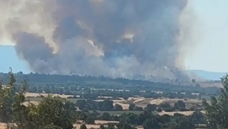 Edirne'yi Karanlığa Gömün: Komşudaki Orman Yangını Neden Oluyor?