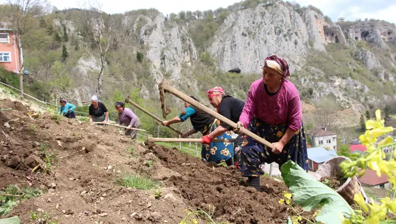 Zorlu Mesai Başladı: Sırtlarında Sepet, Ellerinde Kazmalar ile Yeni Bir Hayata Adım Atıyorlar