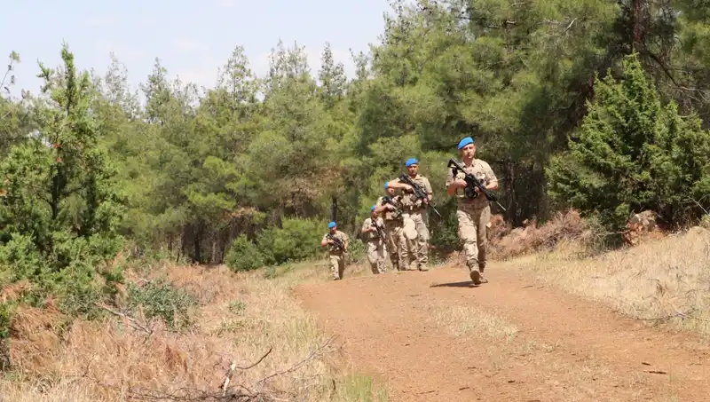 Kilis'te Orman Yangınlarına Karşı Alınan Etkili Denetim Önlemleri