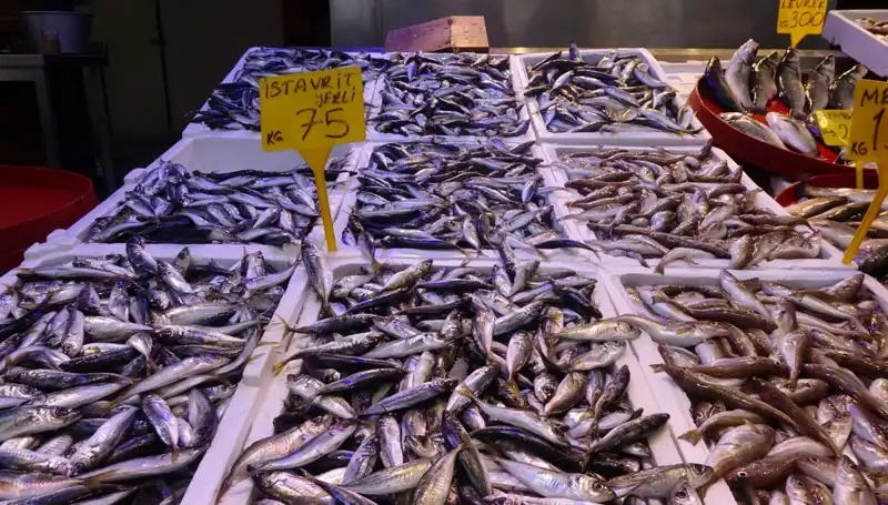 Balık Sezonu Sonunda Neler Olacak? Sürprizler İle Dolu Bir Kapanış