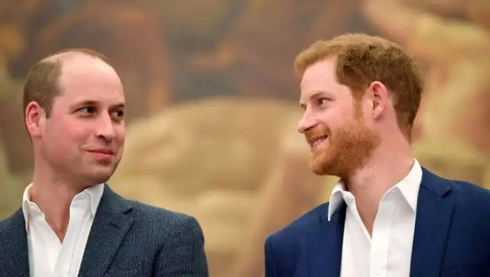 Prens Harry ve Prens William: Monarşinin Geleceği Tehlikede mi?