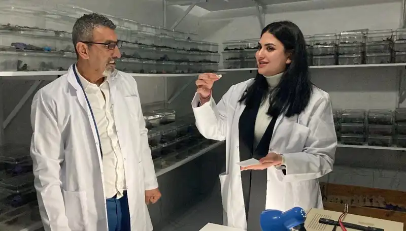 Akreplerin Boşuna Değil: Şekerle Karışınca Değişen Tat Deneyimi