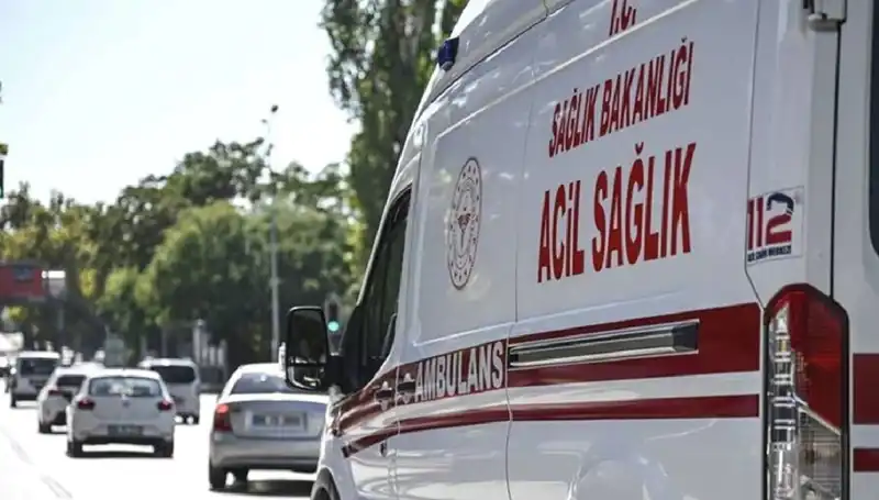 Böcek Korkusu Apartmanı Tahliye Ettirdi: Pul Biberli Mangaldan Neler Oldu?