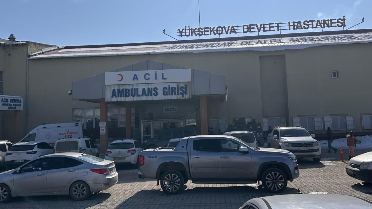 Hakkari'de Köpeklerin Saldırısında Çocuk Vefat Etti