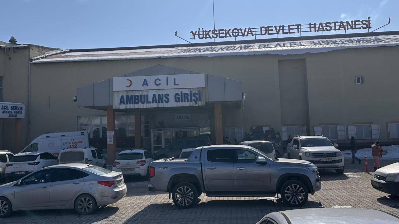 Başıboş Köpek Saldırısıyla Ölen Çocuk Olayında Müfettiş Görevlendirildi