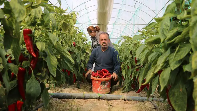 Fiyat Artışı Şok Dalgası Yarattı: İşte Yeni Fiyatların Arkasındaki Sebepler