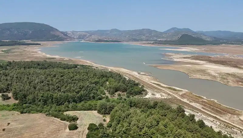 İzmir'de İhmal Edilen Sağlık Sorunları: Yüzde 50 Duraklama Tehlikesi