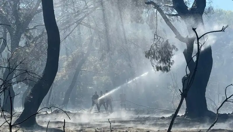Çanakkale, Antalya ve Hatay'daki Yangınlar Kontrol Altına Alındı!