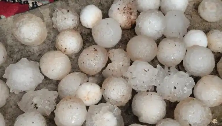 Şanlıurfa'da Kar Topu Büyüklüğünde Dolu Yağışı Soru İşareti Yarattı