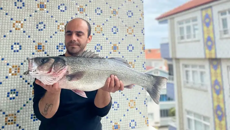 7,5 Kiloluk Dev Levrek, Balık Avcılarını Şaşırttı!
