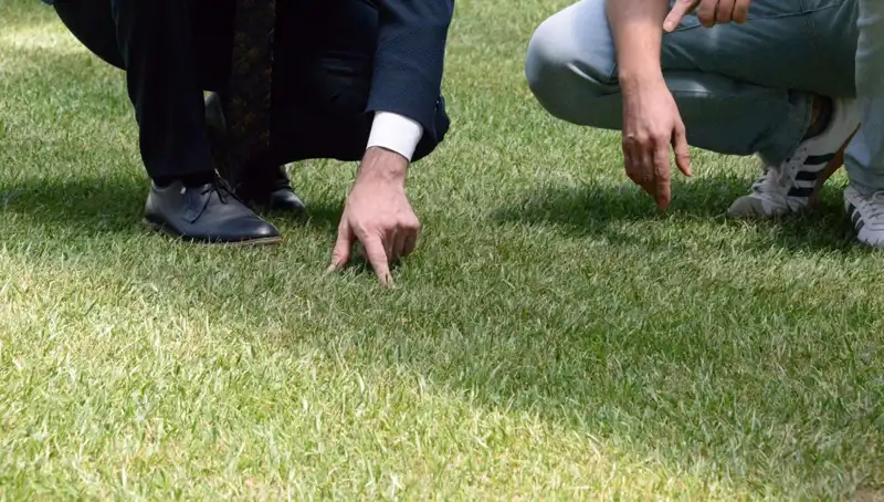 Stadyum Zemininde Tartışmalar Sürüyor: 10 Gün İçinde Tamamlanacak mı?