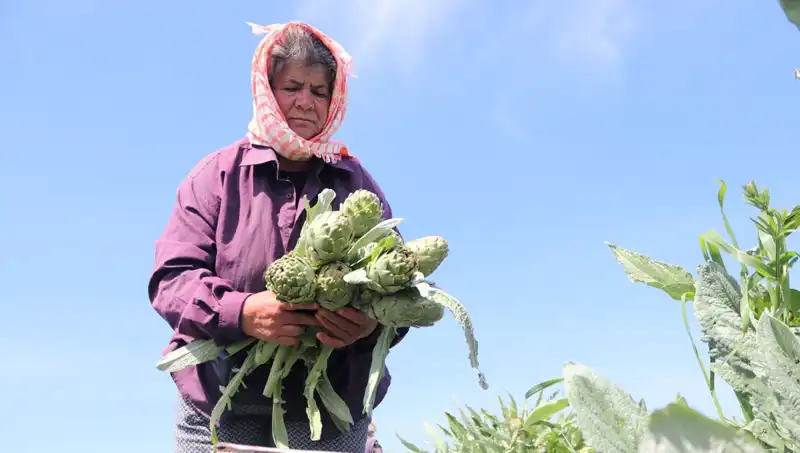 Tarladan Sofralara: 50 TL’lik Meyve ve Sebzelere Neden Talep Artıyor?
