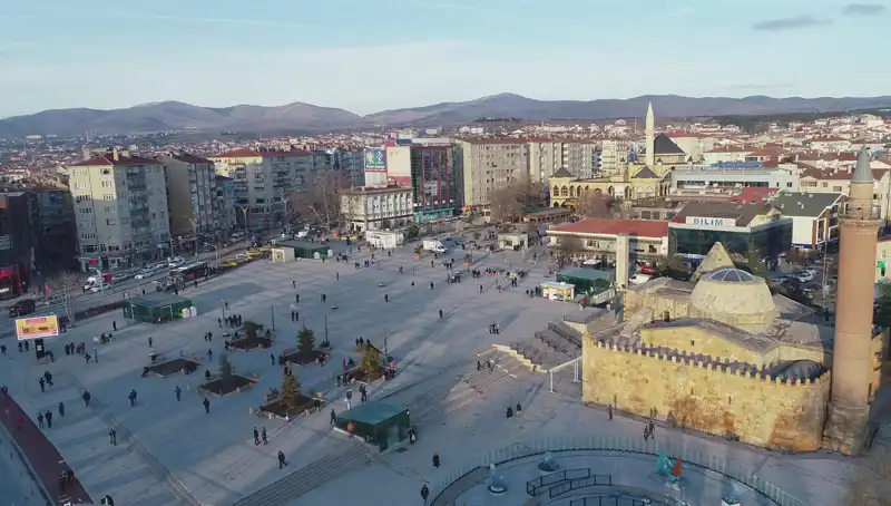 Kırşehir'de Keşfedilen Yeni Böcek Türü Bilim Dünyasını Sarsıyor