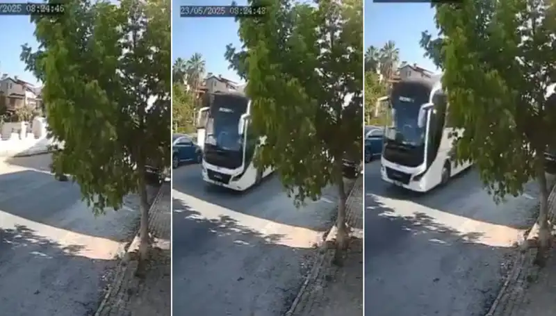 Yolda Yatan Köpeği Ezip Giden Aracın Sürücüsüne Büyük Tepki Geldi!