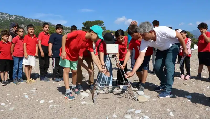 Kemer’de Caretta Caretta Koruma Yasakları: Deniz Kaplumbağaları İçin Neler Değişiyor?